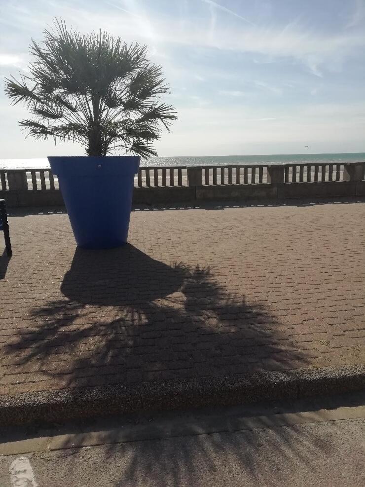 T3 Rez-De-Chaussee Lumineux Avec Terrasse Proche Plage 쿠크 외부 사진